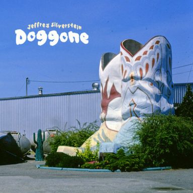 Jeffrey Silverstein - Doggone